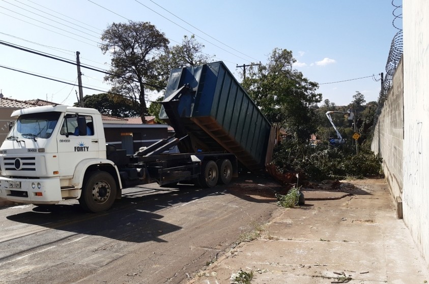 Prefeitura inicia remoção de árvores na Rua do Rosário; via terá replantio de espécimes 