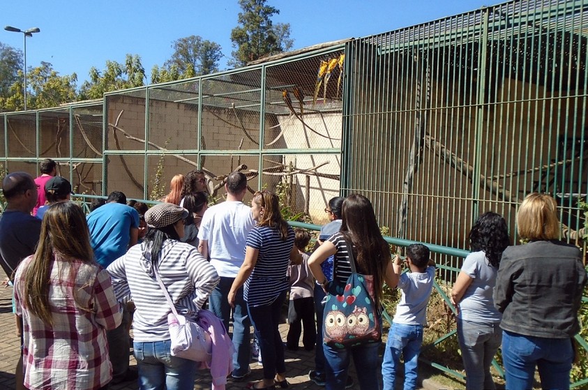 Zoológico inicia projeto de visita guiada