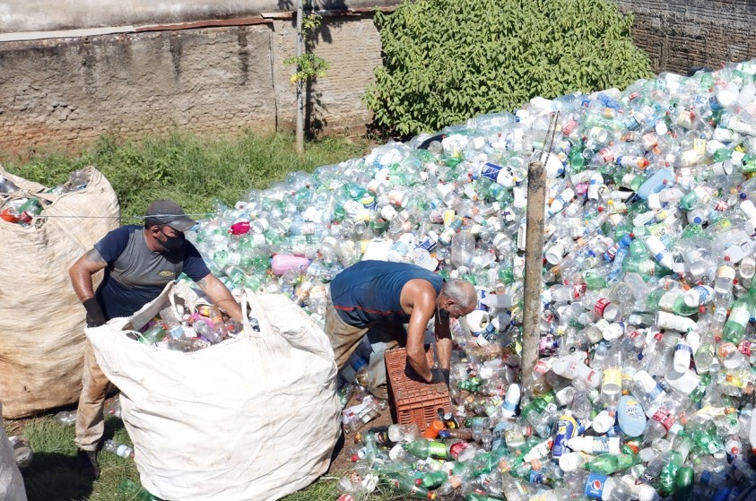 Zoonoses retira montanha de garrafas pet de casa no Santa Josefa