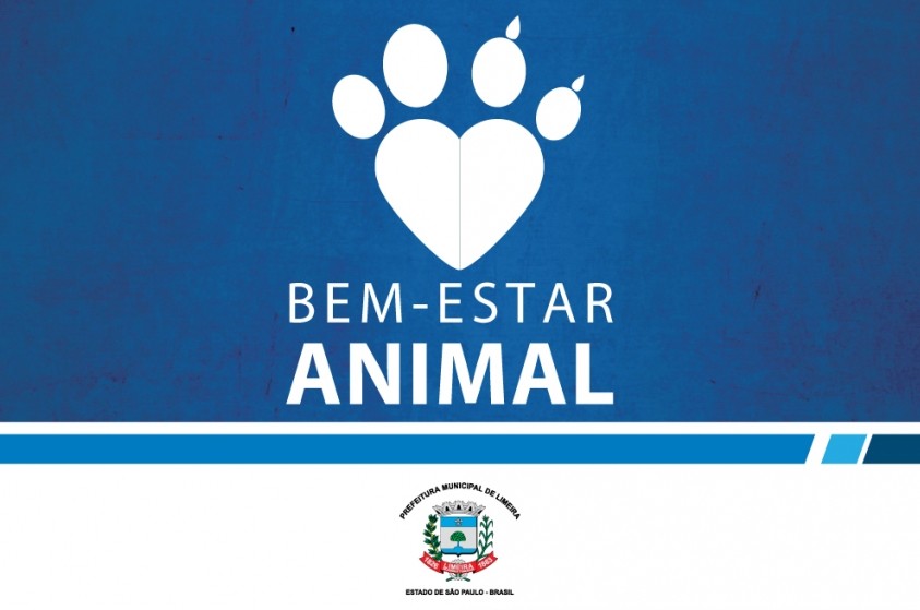Na 2ª edição, evento de adoção no Canil Municipal terá mais de cem animais