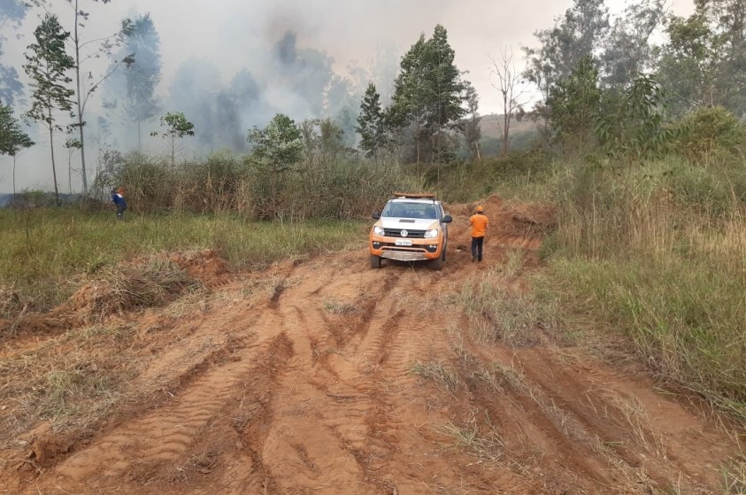 Aceiros limitam propagação de incêndio no Horto Florestal