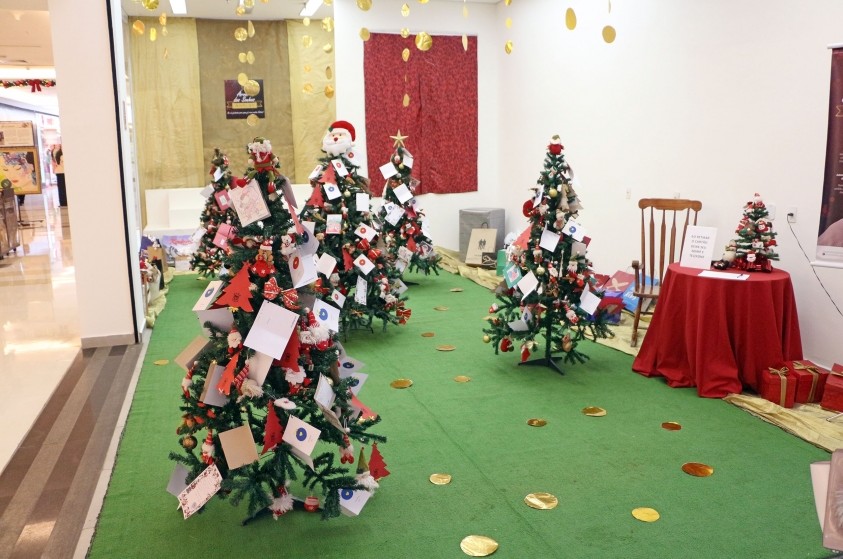 Idosos deixam pedidos de presentes em árvores de Natal