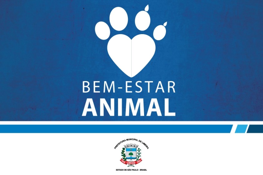 Prefeitura promove evento de adoção de animais