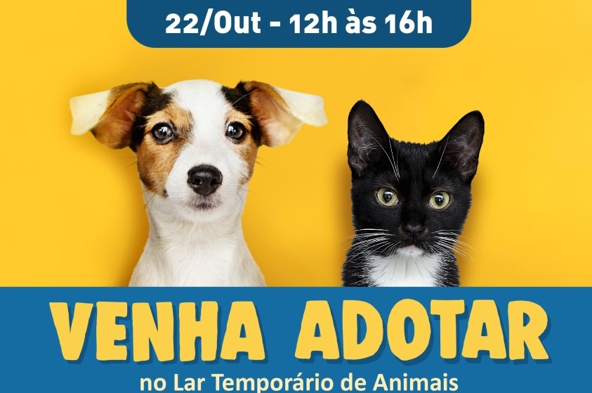 Evento de adoção de animais será realizado no sábado