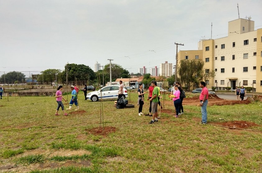 Servidores municipais plantam 850 árvores no Abílio Pedro
