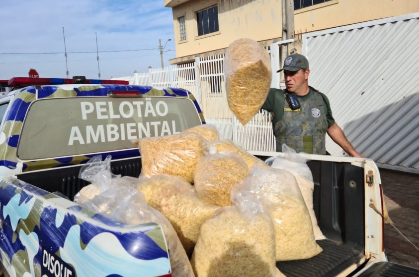 Operação da Vigilância Sanitária e GCM interdita fábrica de batata chips em Limeira