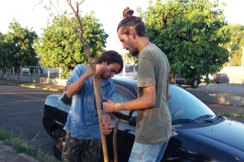Voluntários contribuem com arborização urbana em Limeira