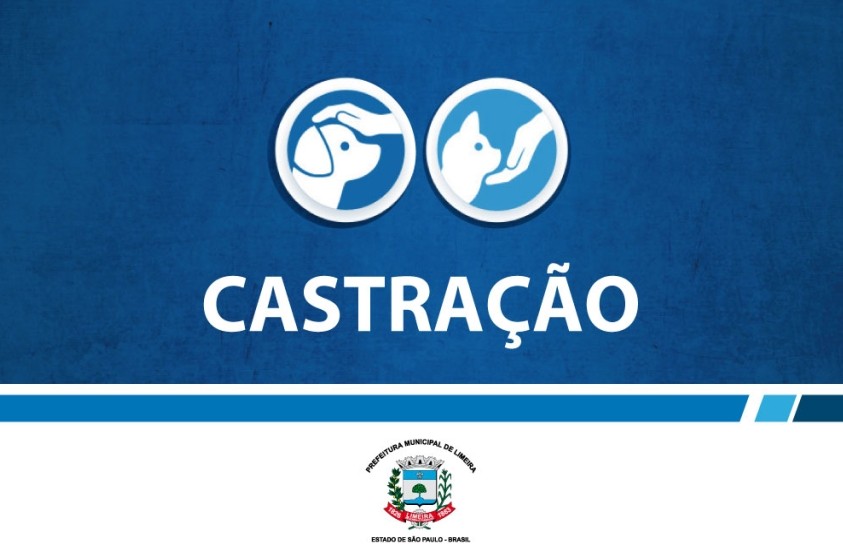 Prefeitura de Limeira lança novo edital para ampliar política de castração