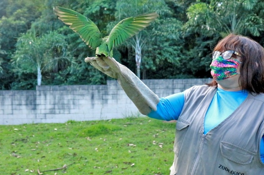 Zoo devolve 15 aves para a natureza