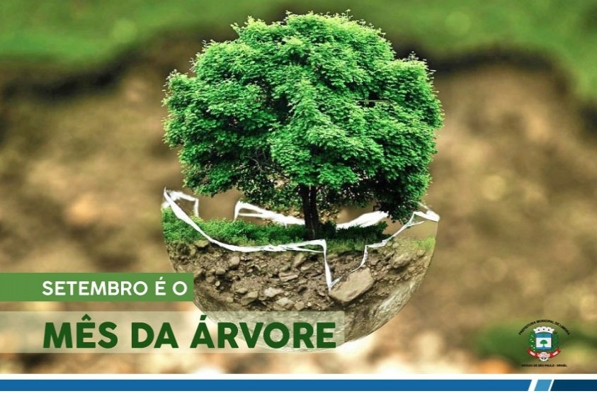 Plantios e doação de mudas marcam comemorações do Mês da Árvore em Limeira