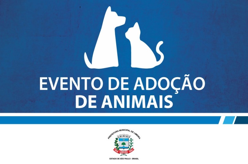 Lar Temporário de Animais abre para adoção de animais no sábado