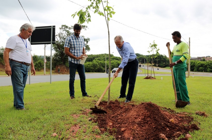 Prefeitura inicia programa de arborização urbana