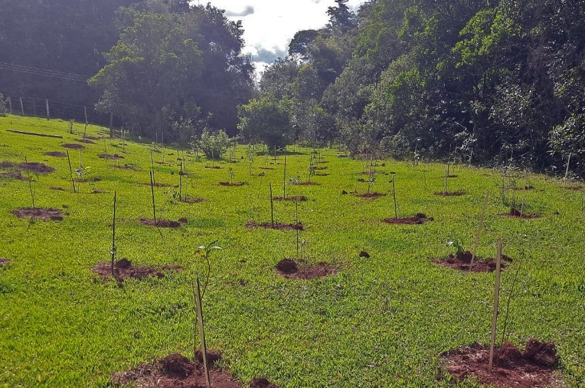 Prefeitura inicia plantios na sub-bacia do Ribeirão Tabajara