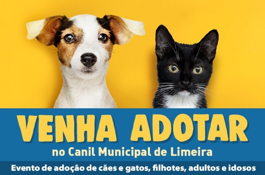 Canil e Gatil Municipal abrem para adoção de animais no sábado   