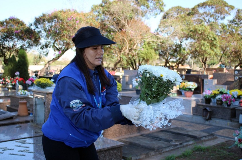 Prefeitura faz varredura nos cemitérios para controle da dengue