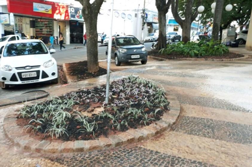 Projeto paisagístico da Praça Luciano Esteves é implantado