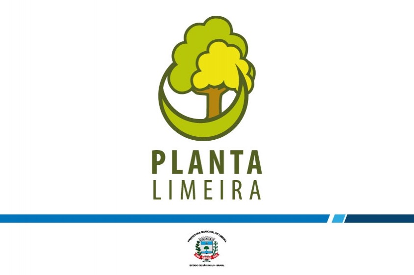Prefeitura lança projeto ''Planta Limeira'' nesta sexta; meta é plantar 20 mil árvores