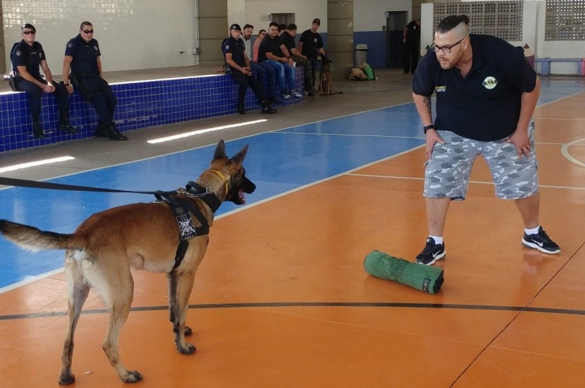 Prefeitura de Limeira promove seminário sobre cães de polícia