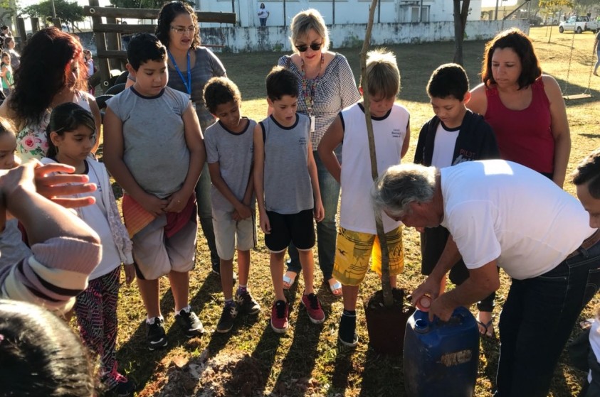 Crianças plantam 34 árvores em escola